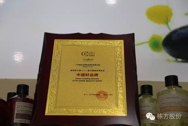 科技引領(lǐng)美麗▏棟方股份榮獲“中國好品牌獎”！