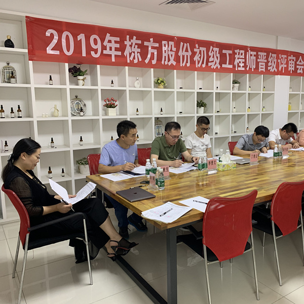 匠心筑夢，人才培養(yǎng)丨棟方股份2019初級工程師晉級評審會順利舉行